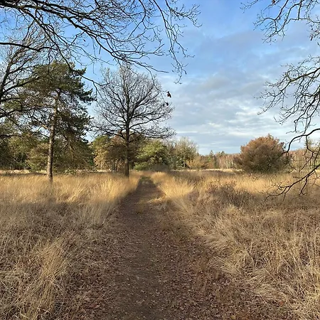 Tiny House Gaia * Oisterwijk