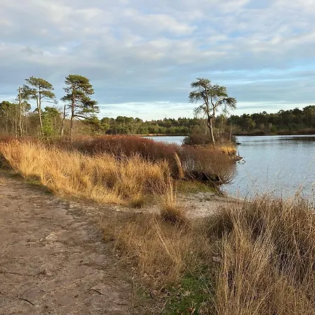Hébergement de vacances Tiny House Gaia *
