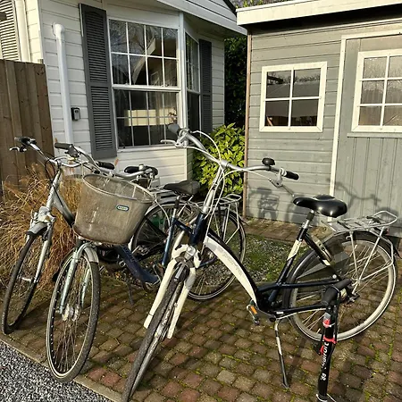 Tiny House Gaia Hébergement de vacances Oisterwijk