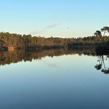 Hébergement de vacances Tiny House Gaia