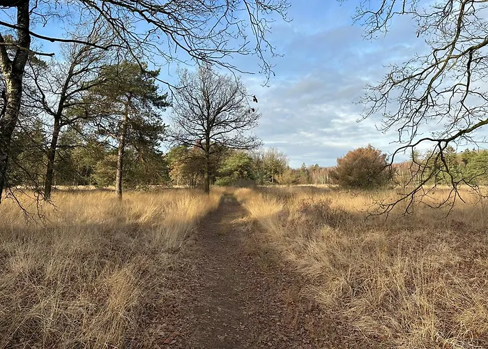Tiny House Gaia * Oisterwijk