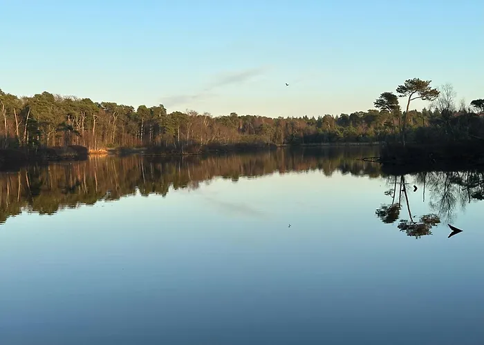 Hébergement de vacances Tiny House Gaia